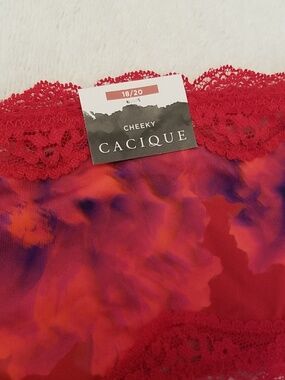 Cacique 18/20 Cheeky Panty